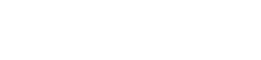 NET CAPITAL